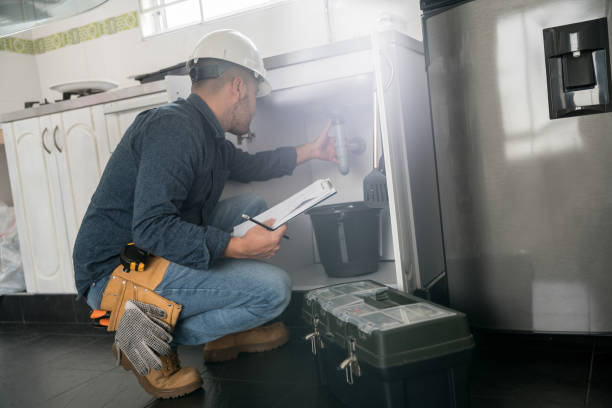 Best Best Plumbers Near Me  in Pleasantville, IA