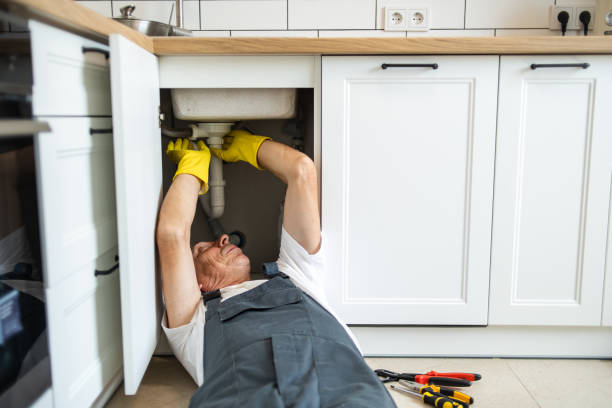 Best Plumbing Inspection Services  in Pleasantville, IA
