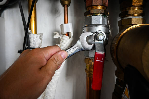 Best Leak Detection Services  in Pleasantville, IA